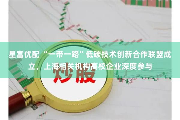 星富优配 “一带一路”低碳技术创新合作联盟成立，上海相关机构高校企业深度参与